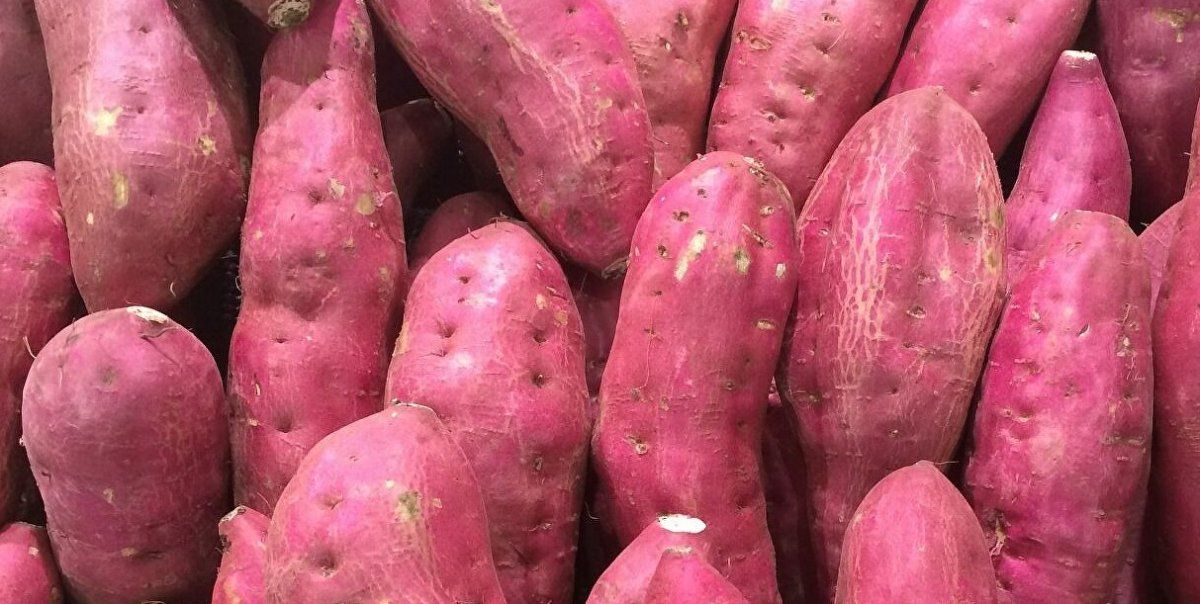 Además de contener extensos valores de potasio, el camote contiene magnesio, calcio, vitamina C y vitamina B6.