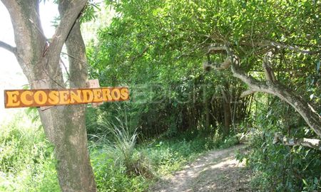 En algunas zonas de Jaaukanigás ya hay senderos y miradores para observar la naturaleza. En algunas zonas de Jaaukanigás ya hay senderos y miradores para observar la naturaleza.