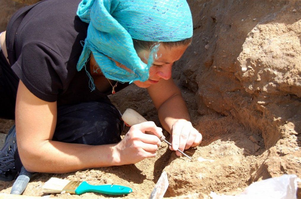 Hallaron una rata fosilizada de más de 400 mil años de antigüedad cerca de Miramar
