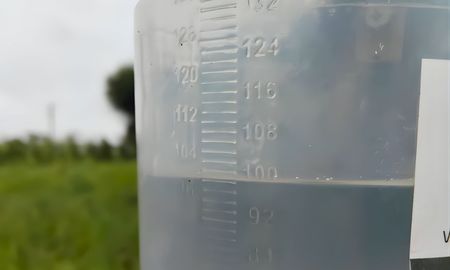 ranking de lluvias: se potencia el buen escenario productivo del maiz en santa fe ranking de lluvias: se potencia el buen escenario productivo del maiz en santa fe