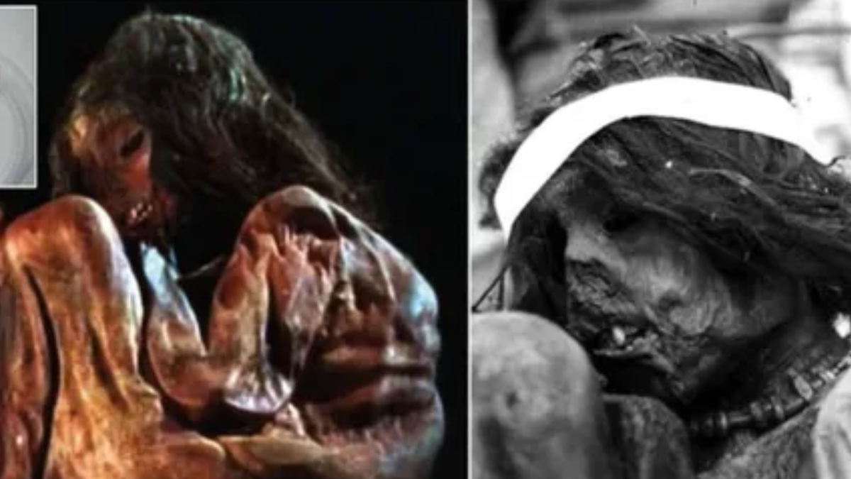 El mito sobre la “maldición” de “la Momia del Aconcagua” y su relación con el terremoto de 1985. El mito sobre la “maldición” de “la Momia del Aconcagua” y su relación con el terremoto de 1985.