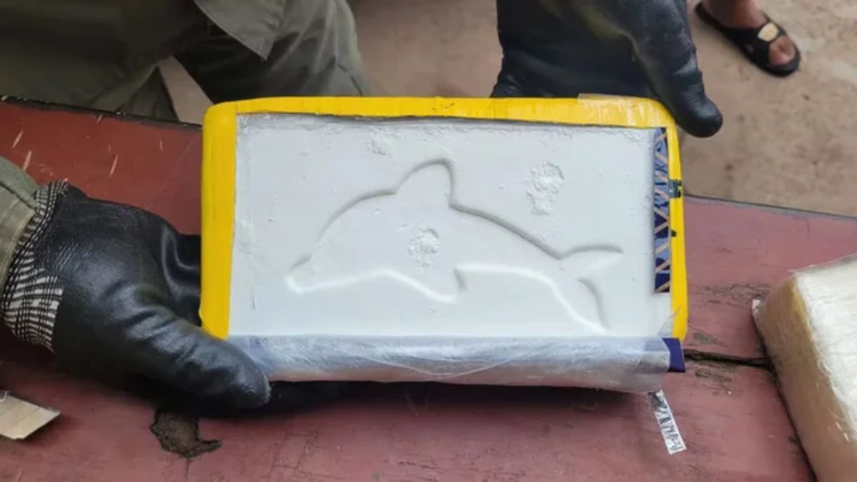 En Posadas, se encontraron 16 kilos de cocaína, también con la marca distintiva del delfín. En Posadas, se encontraron 16 kilos de cocaína, también con la marca distintiva del delfín. 