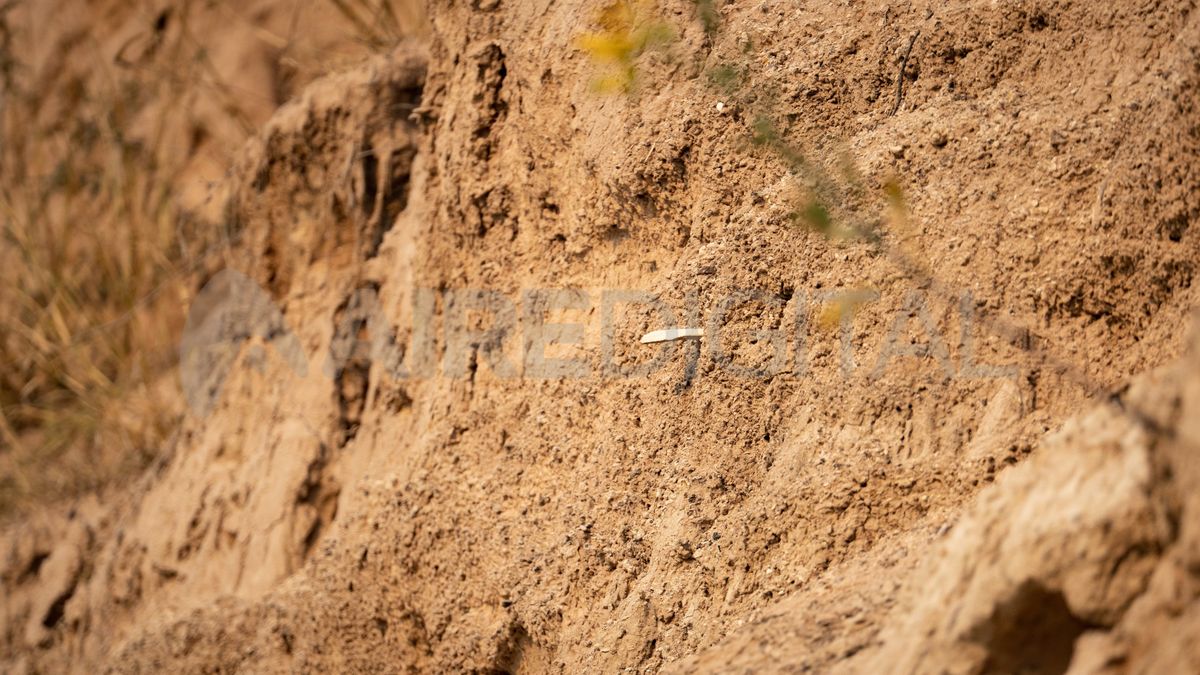 Huellas del un pasado remoto. En las barrancas del Carcarañá es posible observar las marcas dejadas hace millones de años por el ingreso de las aguas del océano a lo que ahora se conoce como la cuenca del Paraná.
