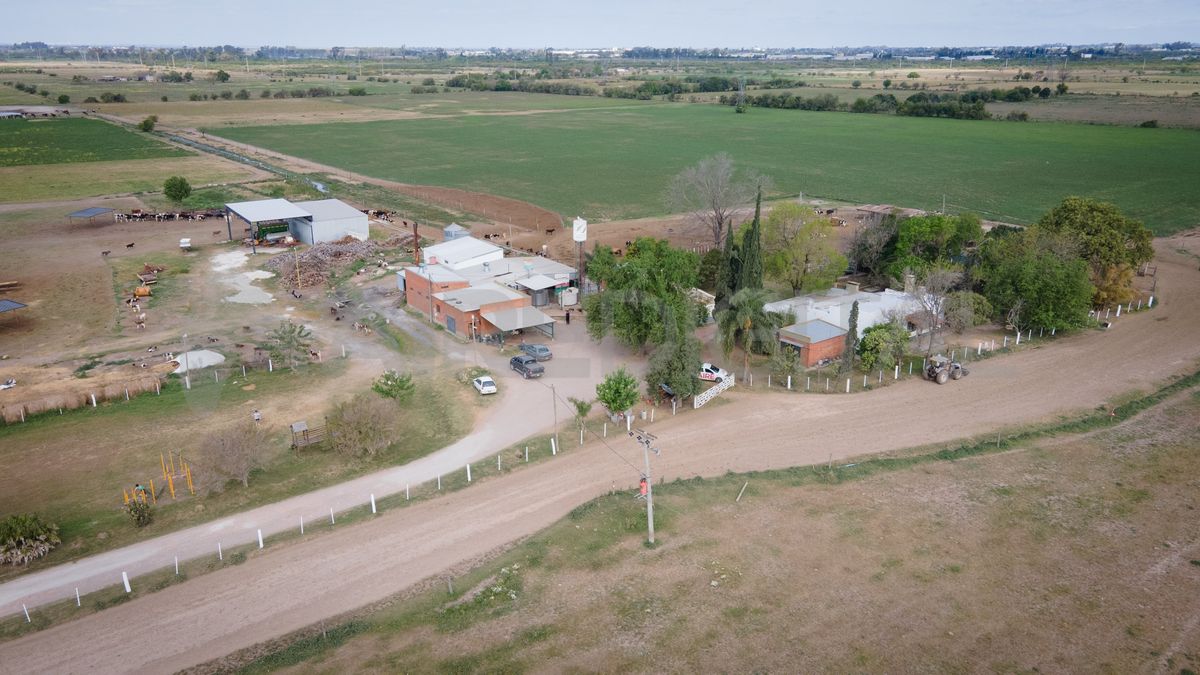 El tambo de la familia Di Bernardini está ubicado muy cerca de la autovía de la ruta nacional 19, en los campos de Colonia San José. El tambo de la familia Di Bernardini está ubicado muy cerca de la autovía de la ruta nacional 19, en los campos de Colonia San José.