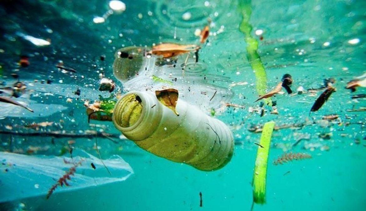 La inteligencia artificial es una de las herramienta en la búsqueda de estrategias que ayuden a limpiar los océanos de plásticos y basura generada por el humano.