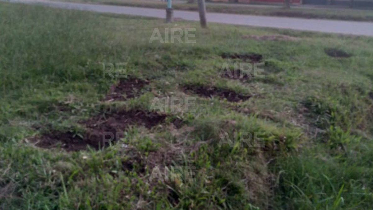 Los detenidos intentaron llevarse 17 panes de césped.