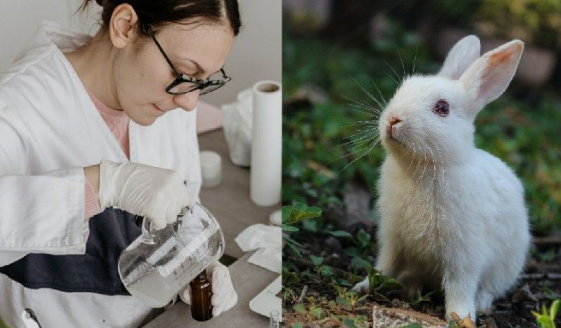 Cuál es la diferencia entre cosmética  Cruelty Free y Veganos