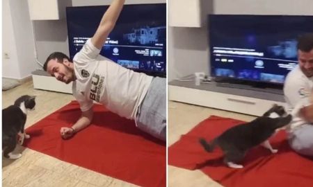Un gato se enoja con su dueño y no lo deja hacer ejercicio Un gato se enoja con su dueño y no lo deja hacer ejercicio