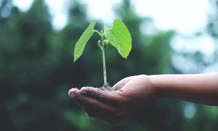 cual es la importancia de las comunidades sustentables y como se crean cual es la importancia de las comunidades sustentables y como se crean