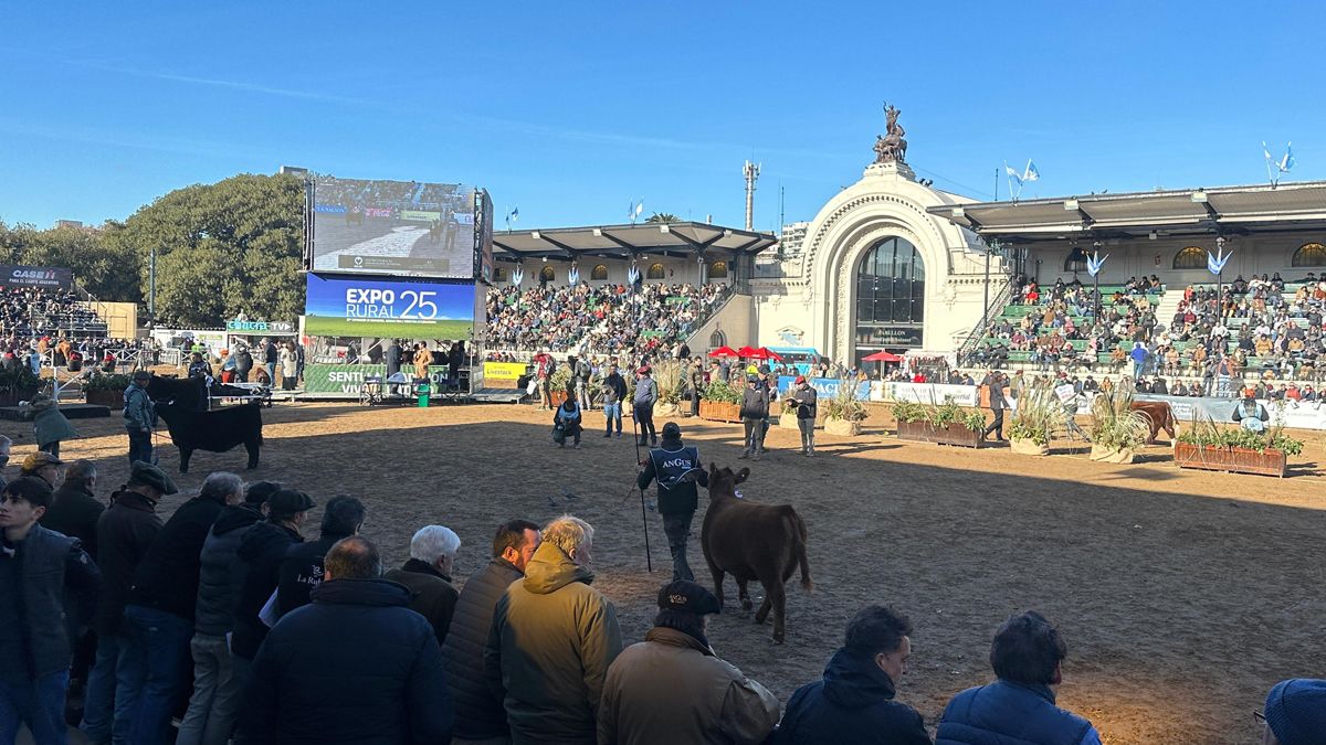 El equipo de AIRE Agro transmite en vivo desde la pista central de la Rural de Palermo.
