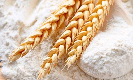 ¿Gluten SI o gluten NO? ¿Gluten SI o gluten NO?