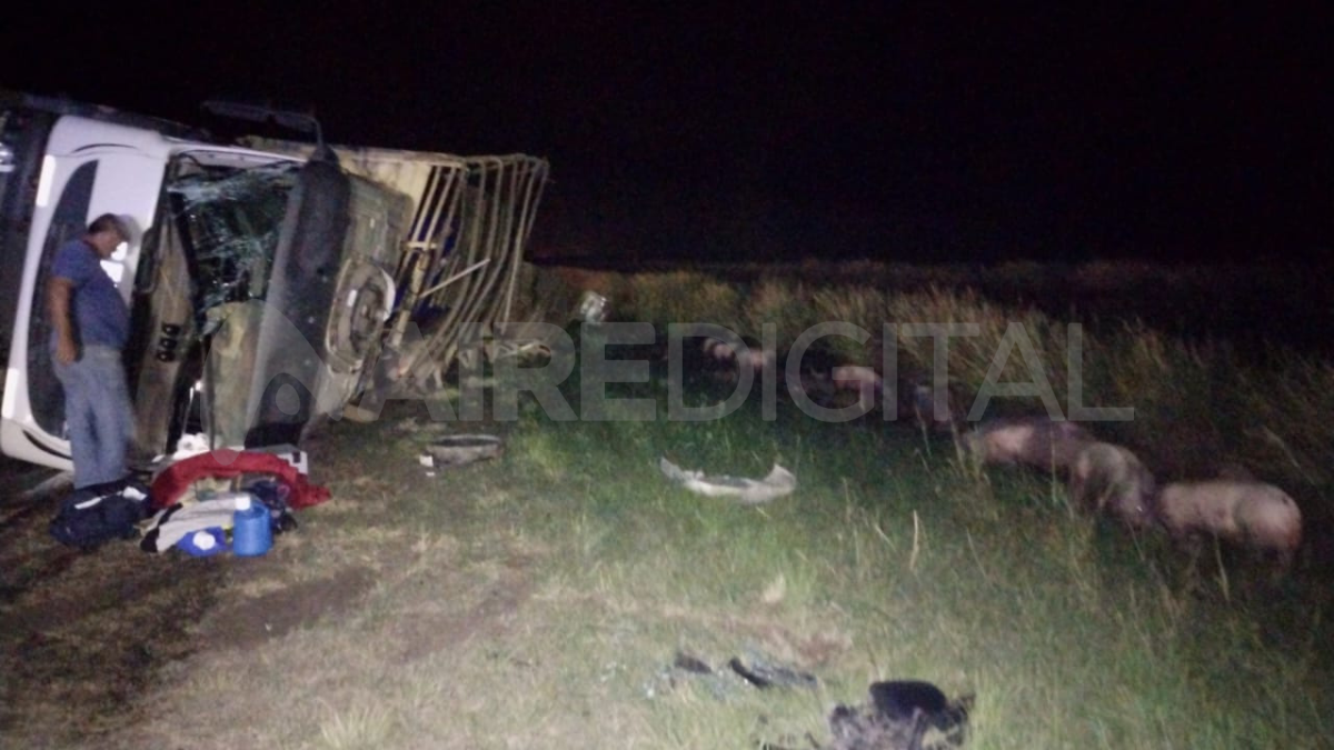 El camión volcó a la altura de la localidad de Videla.