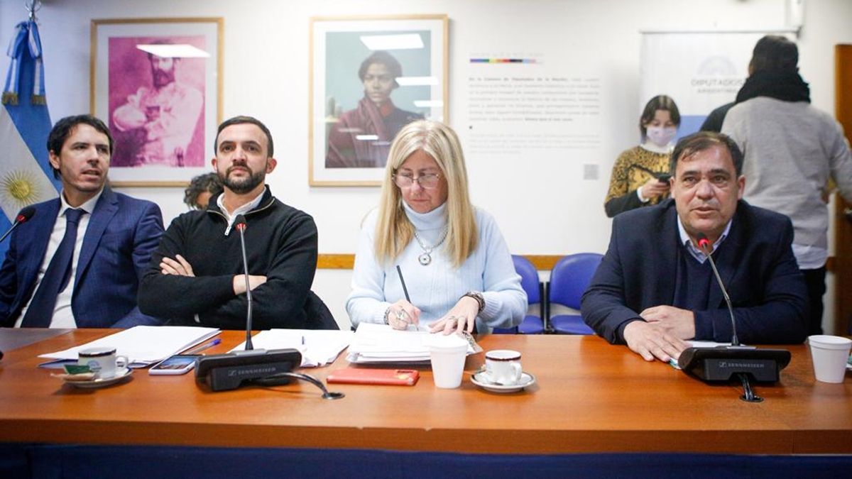 Los proyectos fueron tratados hoy en reunión de comisión