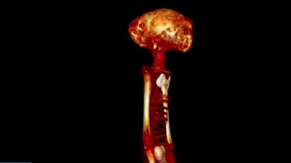 Misteriosos fósiles analizados por el comité científico de la Universidad Nacional Autónoma de México (UNAM). Fotos: Captura de pantalla Misteriosos fósiles analizados por el comité científico de la Universidad Nacional Autónoma de México (UNAM). Fotos: Captura de pantalla 