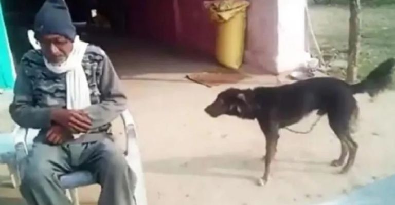 Om Narayan Verma repartió sus propiedades y bienes entre su esposa y su mascota. 