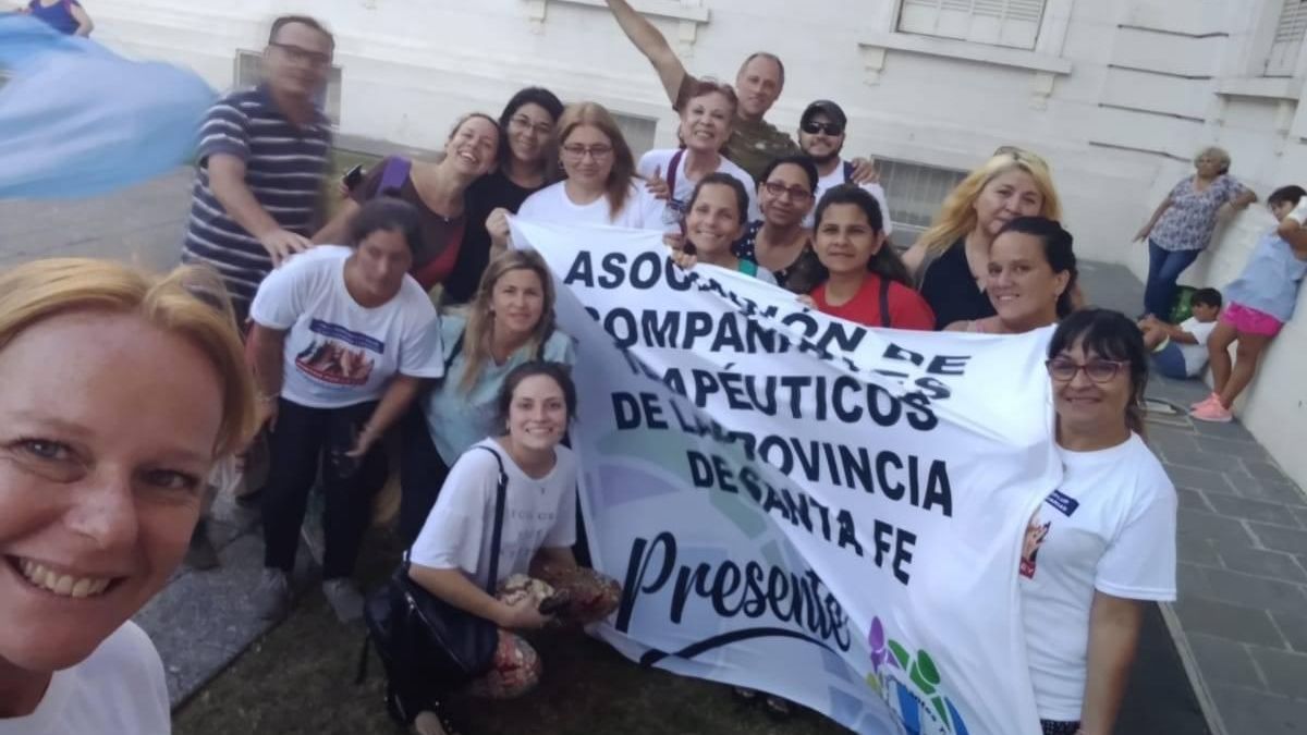 Se aprobó la Ley de acompañantes terapéuticos en Santa Fe