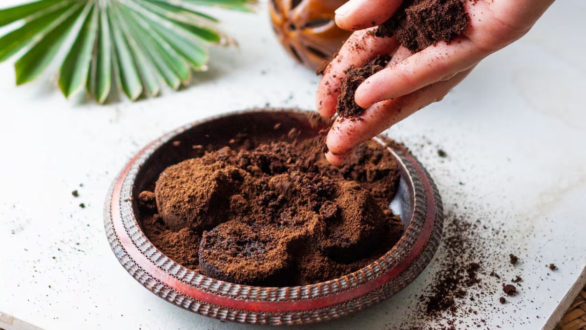 El café aporta nutrientes a las plantas, pero en exceso puede dañar el suelo y las raíces. El café aporta nutrientes a las plantas, pero en exceso puede dañar el suelo y las raíces.