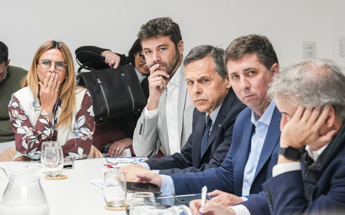 A la siesta – de 14 a 16- se llevará a cabo la reunión de la comisión de Declaraciones, Derechos y Garantías, en el recinto del Senado, donde se llevaría a cabo una audiencia pública con numerosos inscriptos. A la siesta – de 14 a 16- se llevará a cabo la reunión de la comisión de Declaraciones, Derechos y Garantías, en el recinto del Senado, donde se llevaría a cabo una audiencia pública con numerosos inscriptos.