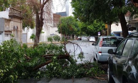 El domingo amaneció con lluvias y con partes de un árbol caído, en el centro de la ciudad de Santa Fe. El domingo amaneció con lluvias y con partes de un árbol caído, en el centro de la ciudad de Santa Fe.