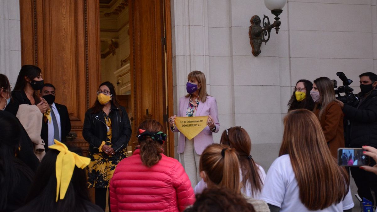 La presidenta del Senado y Vice Gobernadora, Alejandra Rodenas, dialogó con las integrantes de las agrupaciones de endometriosis.