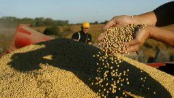 chau retenciones: que pasaria en 10 anos con la produccion, las exportaciones y la caja del estado