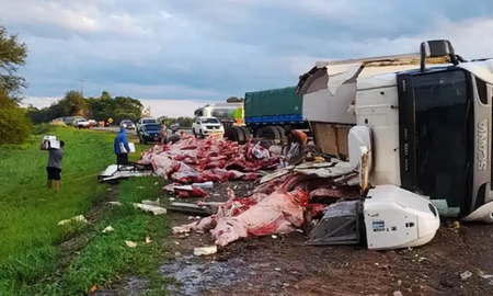 Un camión frigorífico volcó en Salta y lo saquearon: Se llevaron hasta la última achura Un camión frigorífico volcó en Salta y lo saquearon: Se llevaron hasta la última achura