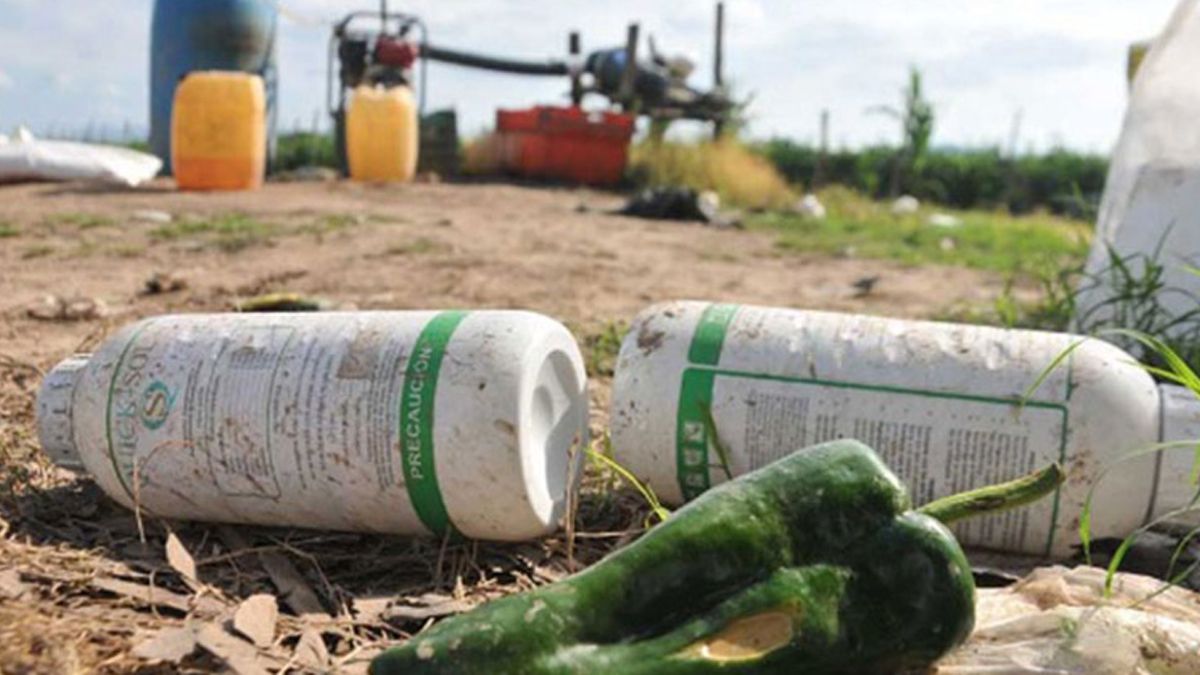 Cuando la ley se reglamente en Santa Fe podrá controlarse la contaminación, el manejo, almacenamiento, transporte y disposición final de las sustancias químicas de uso agrícola remanentes de sus envases vacíos.