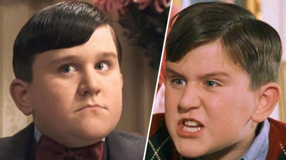 As&iacute; est&aacute; hoy Dudley Dursley