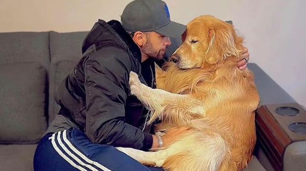 Tragedia inimaginable: una aerolínea equivocó el destino y un perro murió