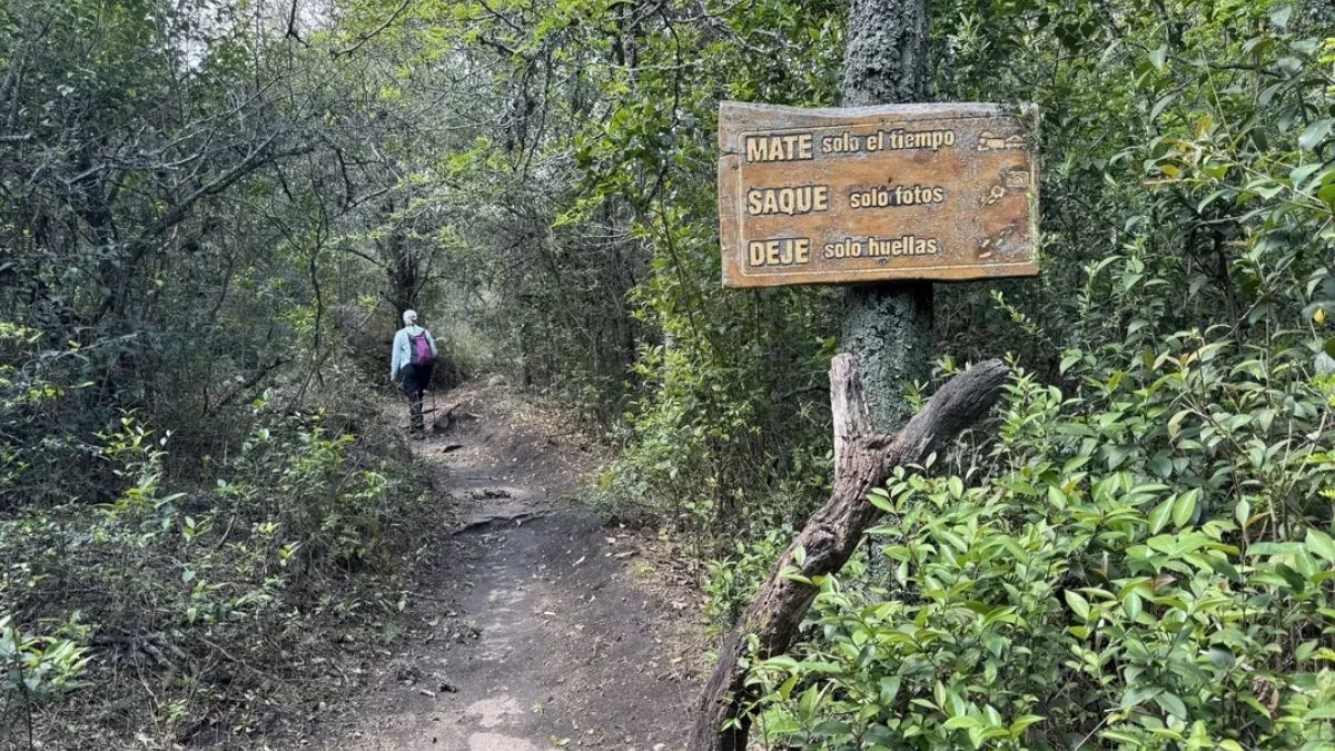 La Reserva Vaquerías ofrece senderos aptos para quienes recientemente entran en el mundo del trekking y desean estar rodeados de naturaleza. La Reserva Vaquerías ofrece senderos aptos para quienes recientemente entran en el mundo del trekking y desean estar rodeados de naturaleza.
