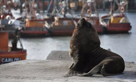 Mar del Plata: qué hacer más allá de la playa Mar del Plata: qué hacer más allá de la playa