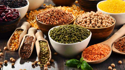 Las legumbres, un alimento imprescindible en tu dieta diaria