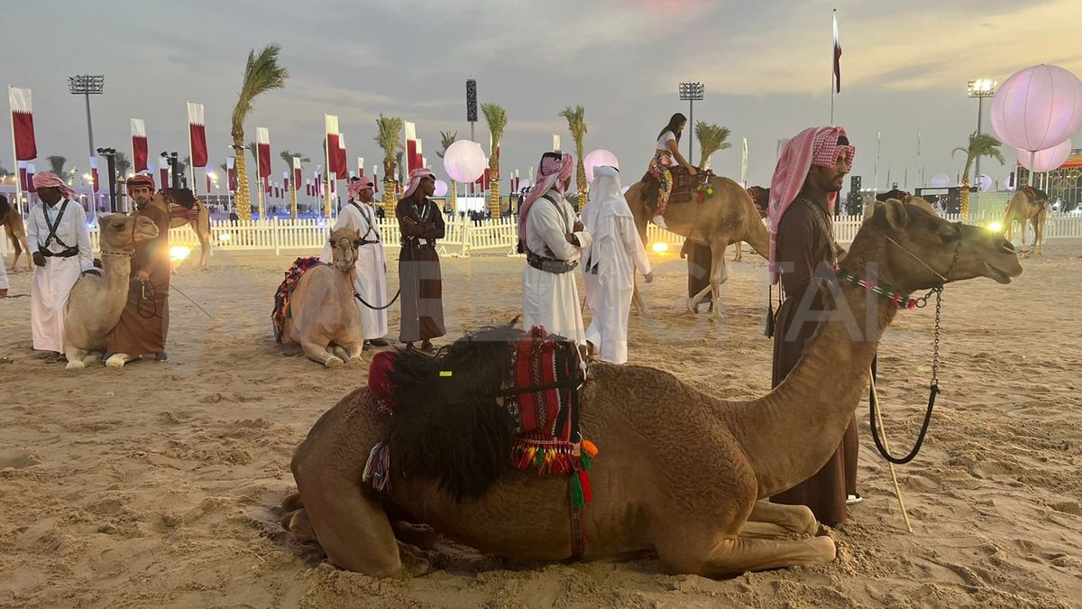 La hospitalidad árabe en su máxima expresión: un recorrido por el centro cultural de Qatar.