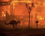 afirman que hay 24 detenidos por provocar los incendios en australia afirman que hay 24 detenidos por provocar los incendios en australia