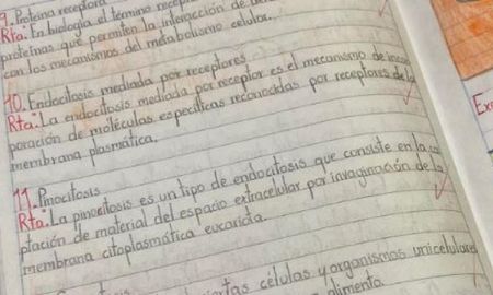 Un nene se volvió viral en las redes sociales por su cuaderno lleno de dibujos y su buena letra. Un nene se volvió viral en las redes sociales por su cuaderno lleno de dibujos y su buena letra.