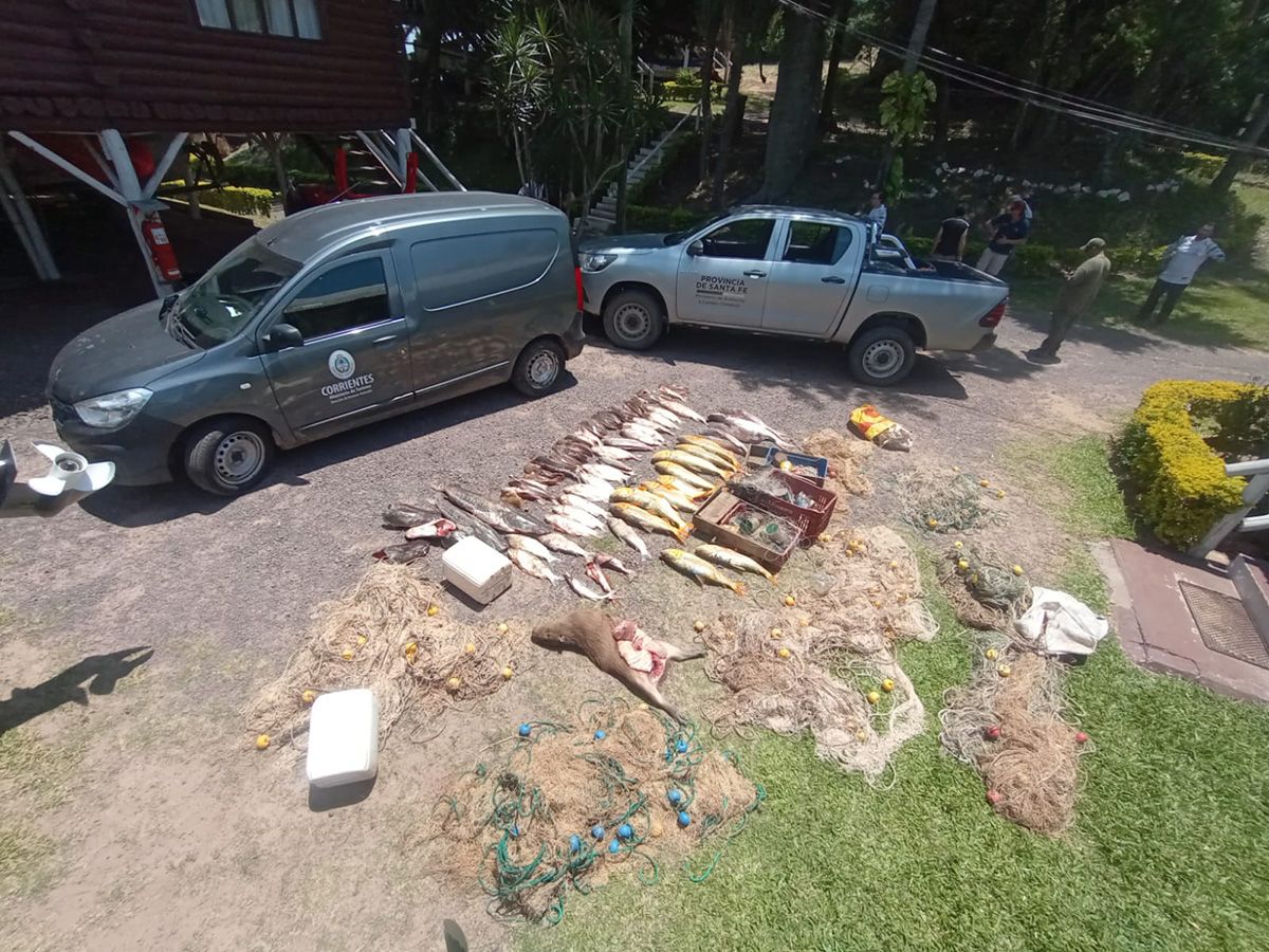 En los controles se secuestraron 800 metros de redes y 62 ejemplares de peces, entre los cuales se encontraron surubíes, dorados, sábalos, armados, patíes y bogas. En los controles se secuestraron 800 metros de redes y 62 ejemplares de peces, entre los cuales se encontraron surubíes, dorados, sábalos, armados, patíes y bogas.