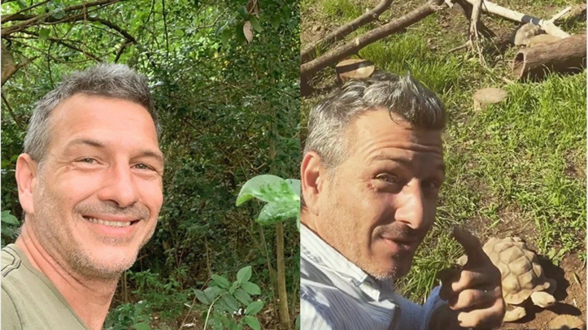Federico Amador dejó de lado la actuación y es kinesiólogo de tortugas