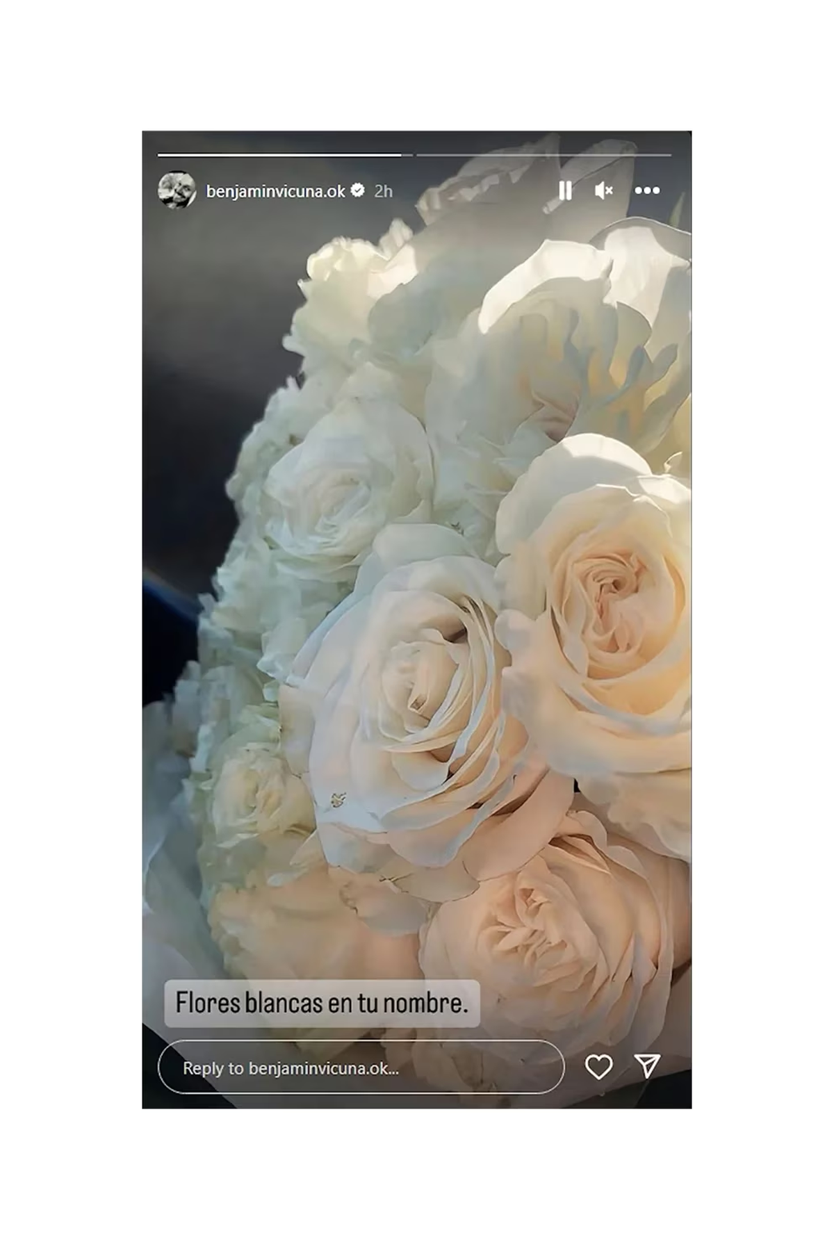 El tributo de Benjamín Vicuña a su hija Blanca. El tributo de Benjamín Vicuña a su hija Blanca.