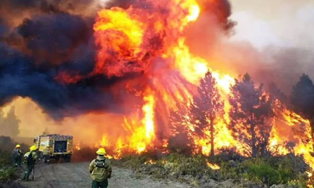 Las llamas alcanzaron zonas pobladas y se debieron evacuar 700 casas. Las llamas alcanzaron zonas pobladas y se debieron evacuar 700 casas.