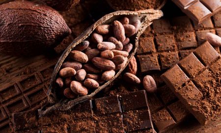 el chocolate es todo lo que esta bien: sus propiedades para la salud el chocolate es todo lo que esta bien: sus propiedades para la salud