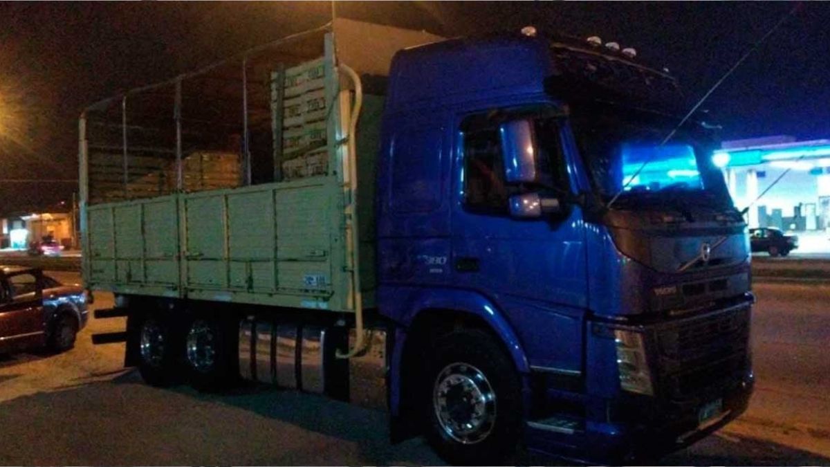 Mar del Plata: el camión que conducía el hombre alcoholizado