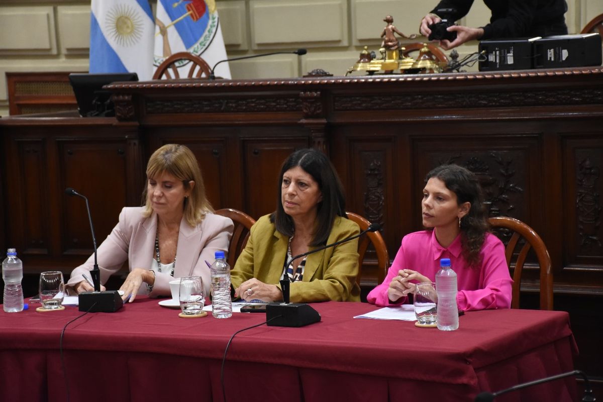 El encuentro fue encabezado por las diputadas Alejandra Rodenas, Clara García y Gisel Mahmud. El encuentro fue encabezado por las diputadas Alejandra Rodenas, Clara García y Gisel Mahmud.