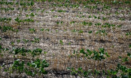 La declaración de emergencia y desastre agropecuario en Santa Fe rige desde el 1 de enero hasta el 30 de junio. La declaración de emergencia y desastre agropecuario en Santa Fe rige desde el 1 de enero hasta el 30 de junio.