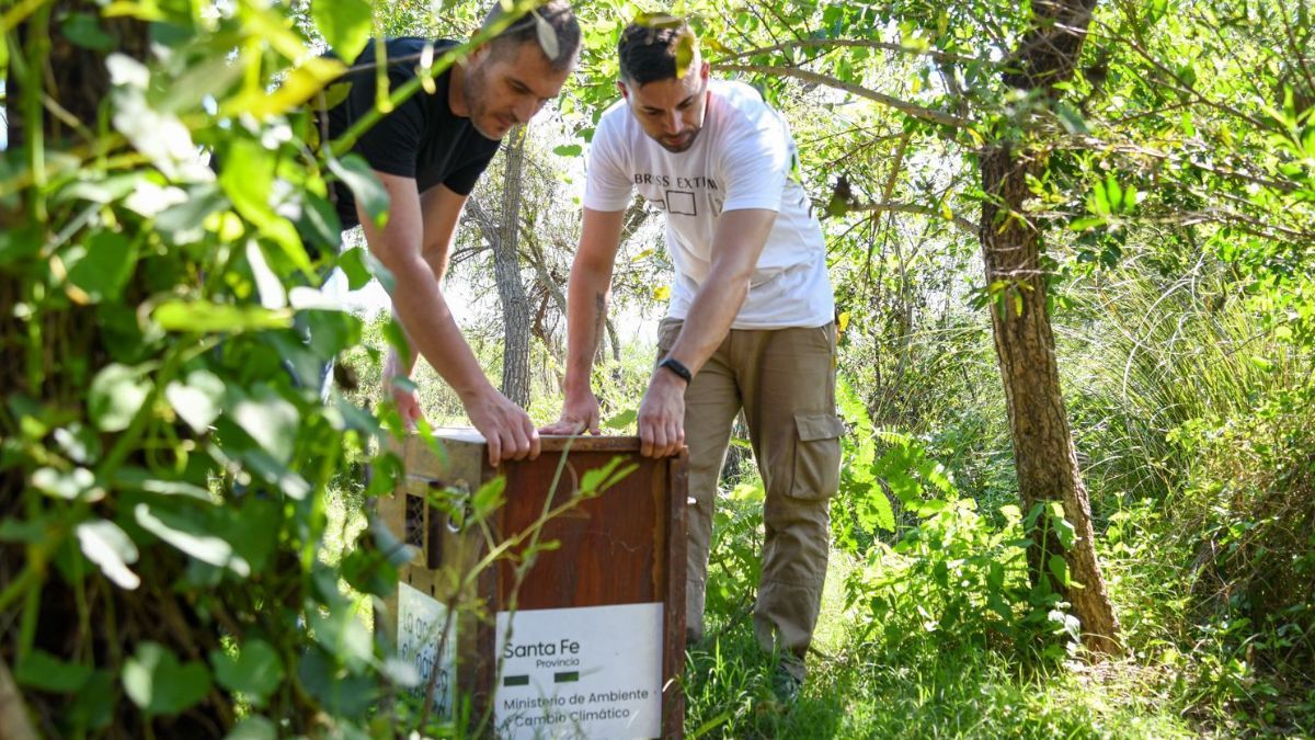 Las tareas son ejecutadas principalmente desde el Centro de Rescate, Investigaci&oacute;n e Interpretaci&oacute;n de Fauna Silvestre &ldquo;La Esmeralda&rdquo;.