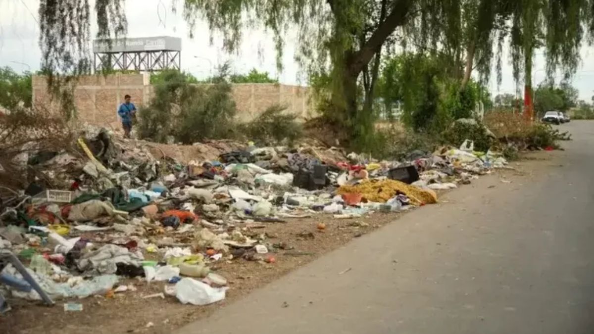 Según estudios preliminares