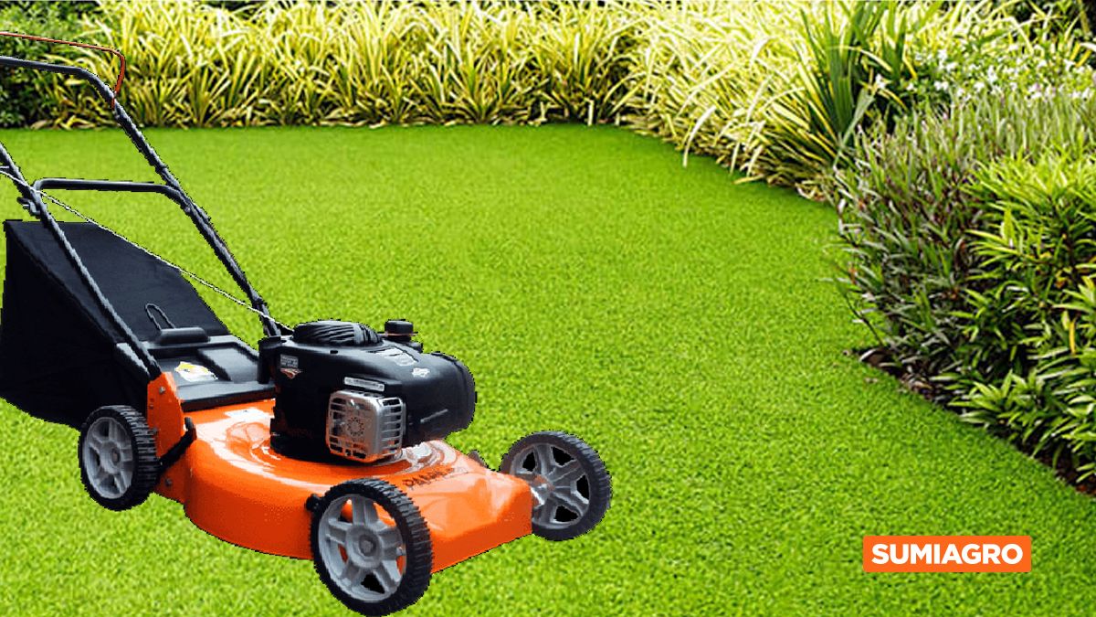 SUMIAGRO presentó nuevas opciones en cortadoras de césped
