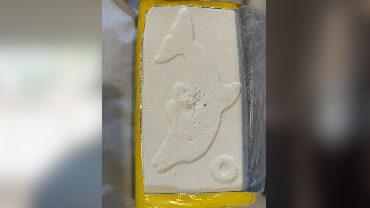 El colombianito purgó en la cárcel de Piñero una pena unificada por venta de drogas. El colombianito purgó en la cárcel de Piñero una pena unificada por venta de drogas.