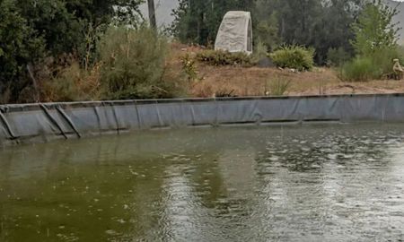 Para los combatientes, las lluvias significan también un respiro tras jornadas extenuantes. Para los combatientes, las lluvias significan también un respiro tras jornadas extenuantes.