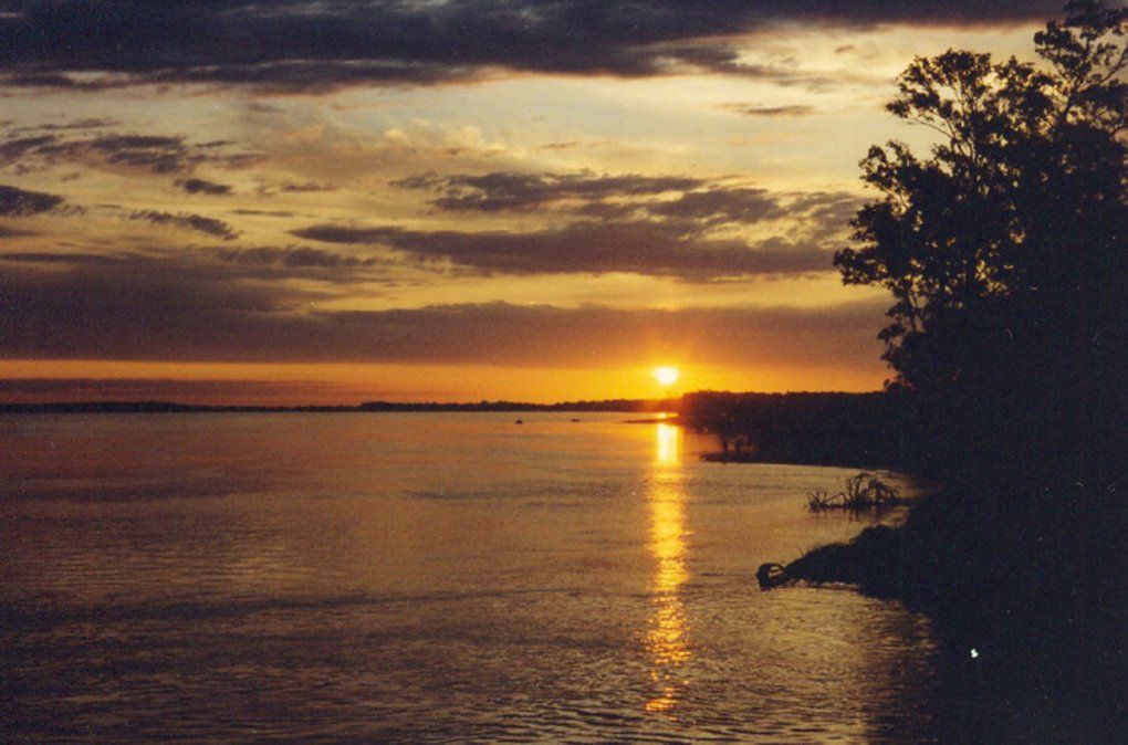 Unos de los brazos del río Paraná.&nbsp;
