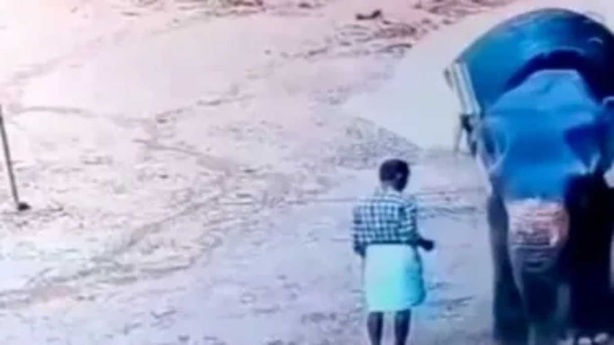 Impactante video: un hombre murió luego de que un elefante lo aplastará
